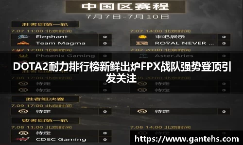DOTA2耐力排行榜新鲜出炉FPX战队强势登顶引发关注